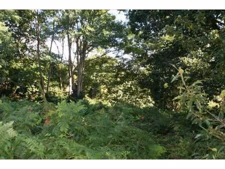 vente terrain à lannion (22300) : à vendre / lannion