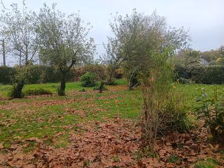 vente terrain à languidic (56440) : à vendre / 905m² languidic