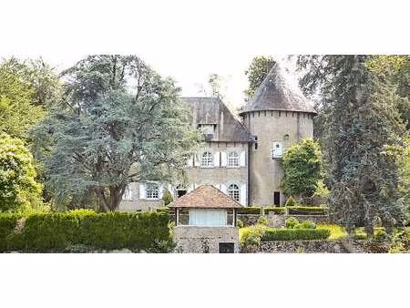 château méasnes (23)