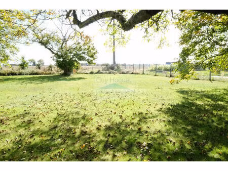 vente terrain 704 m² villedômer (37110)