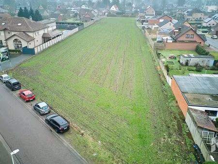 terrain à vendre à neerpelt € 900.000 (l2488) - het huiskantoor | zimmo