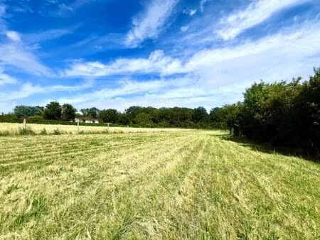 terrain constructible