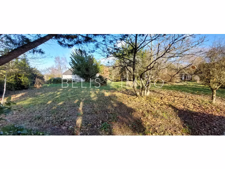vente terrain 965 m² cheillé (37190)