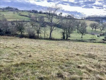 vente terrain 3148 m² meyssac (19500)