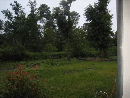 terrain commercial 1ere ligne