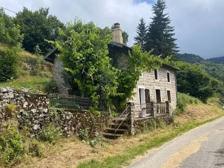 vente maison 4 pièces 77 m² à mézilhac (07530)  65 000 €
