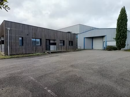 local d'activite + bureaux