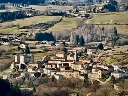 vente maison 8 pièces 266 m² à jeansagnière (42920)  285 000 €