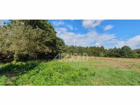 vente terrain à orvault (44700) : à vendre / 1179m² orvault