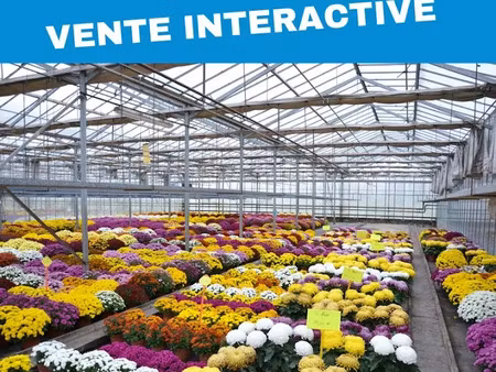 vente propriété 7 pièces à sin-le-noble (59450)  529 500 €