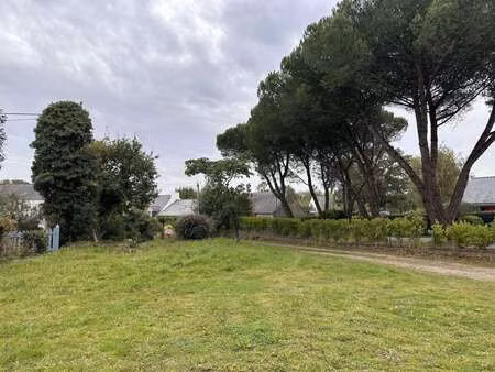 vente terrain à sarzeau (56370) : à vendre / 611m² sarzeau