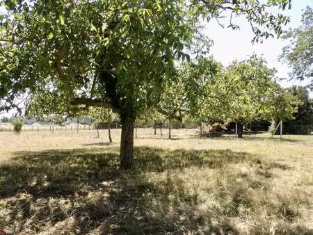 vente terrain à sainte-gemme-la-plaine (85400) : à vendre / 1000m² sainte-gemme-la-plaine