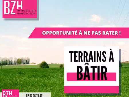 vente terrain à locmaria-grand-champ (56390) : à vendre / 1136m² locmaria-grand-champ