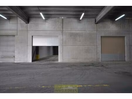 industrieel gebouw te huur in avelgem