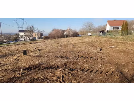 réf: 11172*** axe bâle - altkirch: beau terrain env. 29 ares dont 24 constructibles