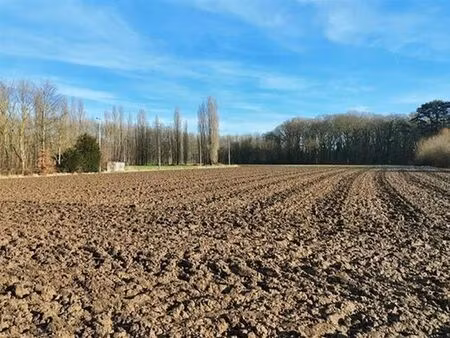 terrain à vendre à awans € 552.000 (l29ty) - comptoir foncier | zimmo