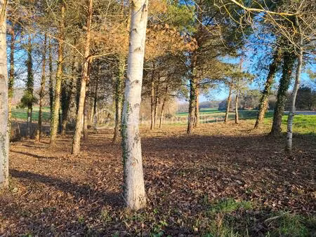 terrain de 1 000 m² à grezet-cavagnan