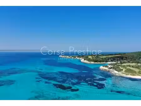 villa de luxe en location bonifacio  france