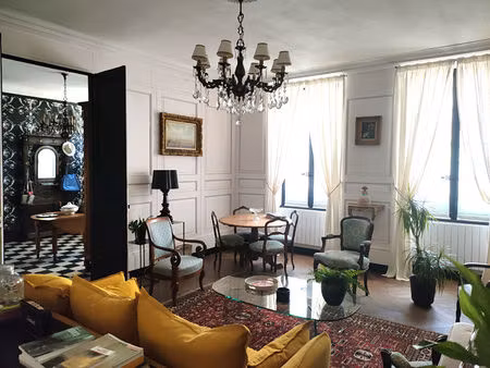 hotel particulier xviiième sur 356m2 - valencay centre ville - activite liberale ou touris