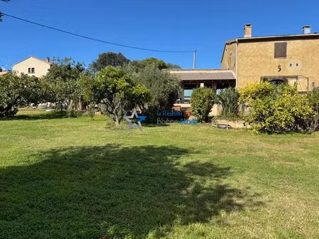 vente maison 7 pièces 135 m² à borgo (20290)  375 000 €