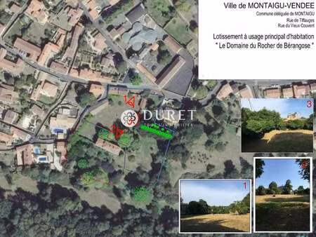vente terrain à montaigu (85600) : à vendre / 401m² montaigu