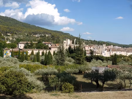 locaux commerciaux - aups