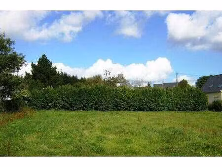 vente terrain à langoëlan (56160) : à vendre / langoëlan