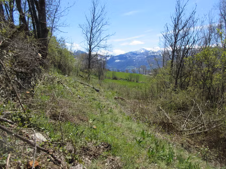 petit terrain sur les hauteurs