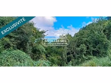 idéal investisseurs