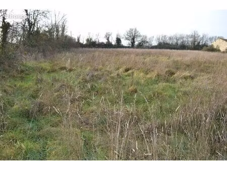 terrain viabilise et borne