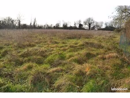 terrain constructible