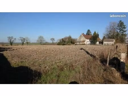 beau et grand terrain construtible