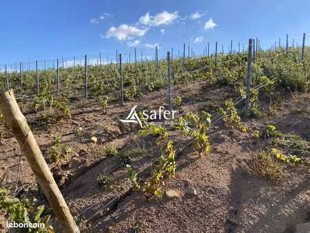 terrain 21980 m² chiroubles