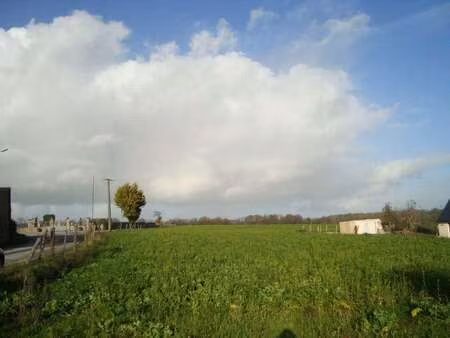 vente terrain à saint-gérand (56920) : à vendre / 901m² saint-gérand