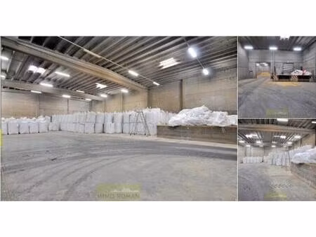 surface industrielle à louer à kaaistraat 5 avelgem (rbs45901)