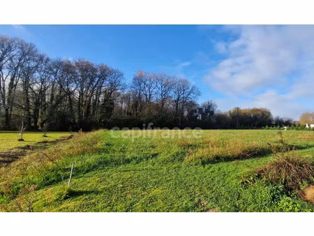 terrain à vendre labastide d'armagnac 2600m2 46 000€