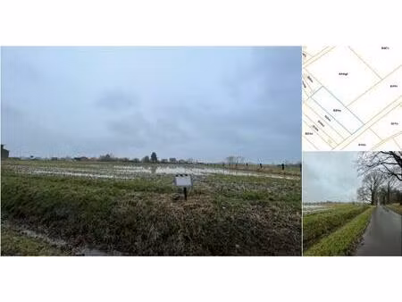 terrain agricole à vendre à leireken merchtem (rwc38133)