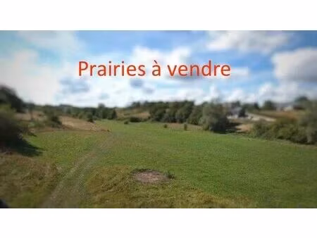 terrain agricole à vendre de 59200 m² à chimay (vbc27115)