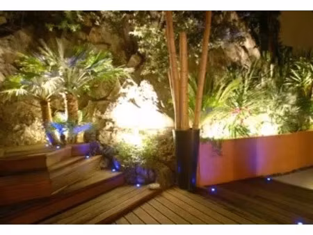 location maison 1 pièce