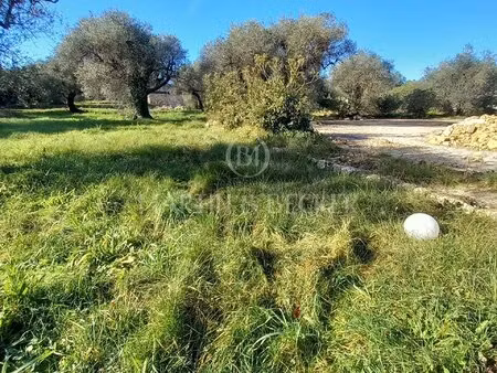 terrain viabilise plat opio