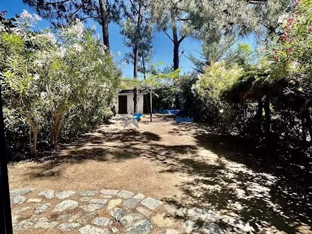 vente appartement 1 pièce 33.25 m² à borgo (20290)  125 000 €