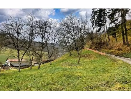 terrain saint-étienne-de-saint-geoirs m² t- à vendre  71 000 €