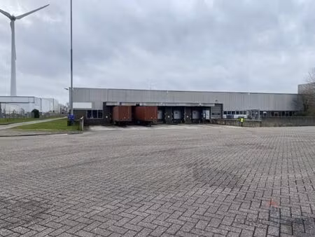 entrepôt logistique à louer à dendermonde