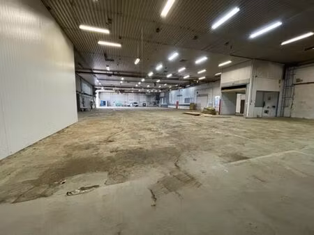 a louer entrepôt +/- 1.600 m² sur un terrain de +/- 2.000 m