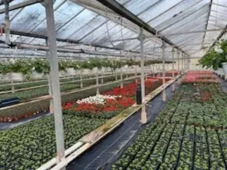 vente locaux professionnels 5500 m² à ribemont (02240)  118 000 €