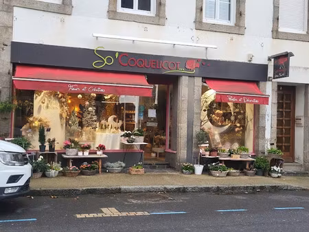 vente locaux professionnels 2 pièces 71 m² à roscoff (29680)  96 400 €