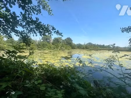 vente terrain 18671 m² à long (80510)  45 500 €