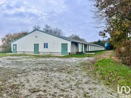vente locaux professionnels 1200 m² à saint-aignan (56480)  167 500 €