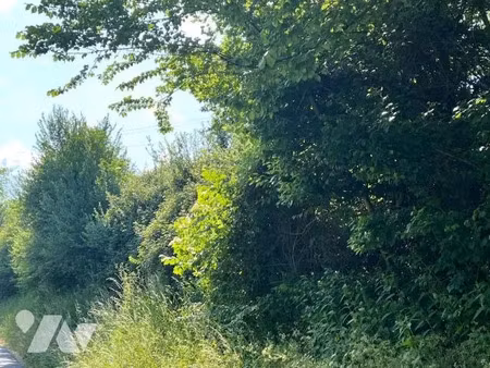 vente terrain 8050 m² à la chapelle-yvon (14290)  7 500 €