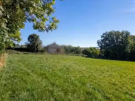 vente terrain 2902 m² à saint-chély-d'aubrac (12470)  20 000 €